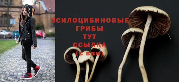 хмурый Алексеевка