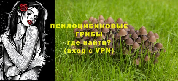 хмурый Алексеевка