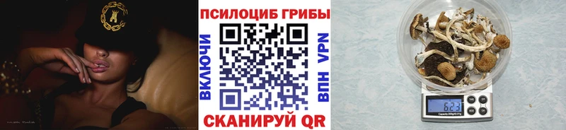 Псилоцибиновые грибы ЛСД  кракен сайт  Петровск-Забайкальский 
